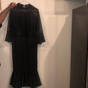 Elegant long sleeve mesh dress